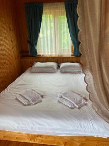 Вилно селище Паздерите