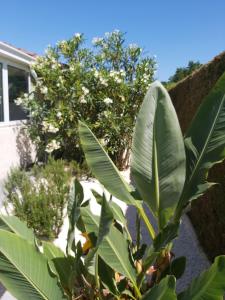 Le Soleil Couchant photo 9