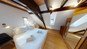 Spacious duplex city center Strasbourg