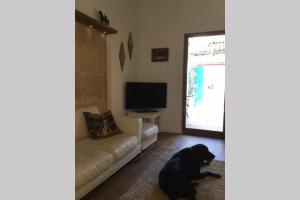 Maisons de vacances Petit Paradis, 1 bedroom house : photos des chambres