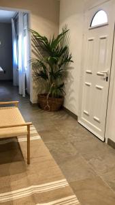 Homing Cambrils 10