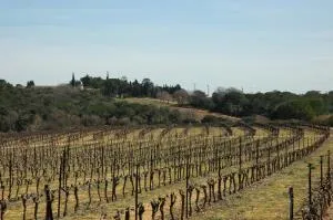 Le Gîte des écureuils - Valergues