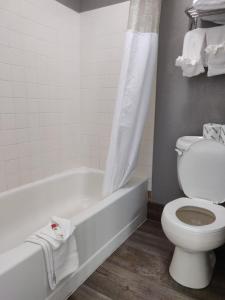 Double Room with Spa Bath room in Cedar Cove