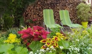 Gogol 14 Апартаменти в історичному центрі міста