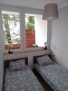 Apartament Lawendowy Dolny Sopot 2