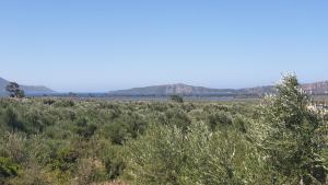 Villa Oilivia Messinia Greece