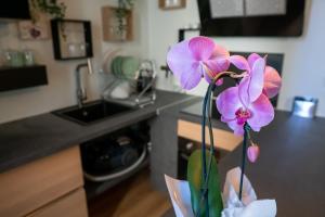 Appartements studio coeur de ville neuf et design tt equipe parking gratuit : photos des chambres