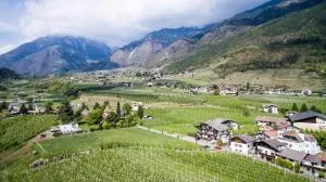 Apartment Steinach - Forst