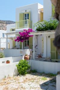 Morpheas Pension Rooms & Apartments Sifnos Greece