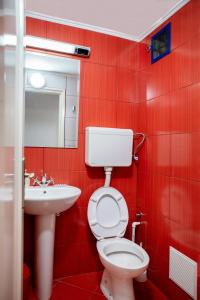 Bubamara Nikole Pasica