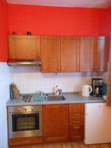 Apartmán Bedřichov