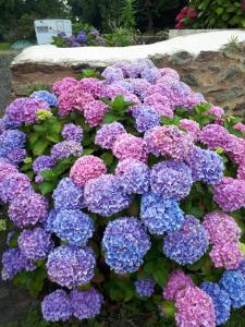 Manoir de Parc ar Brun photo 9