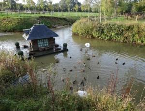 B&B / Chambres d'hotes Ferme de Dauval : photos des chambres