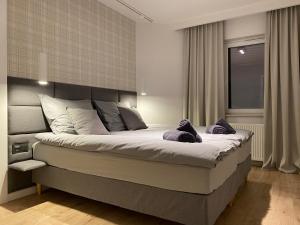 Apartament Opieszyn