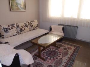 Apartment Goran