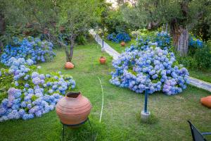Alekas Studios Nisos-Samothraki Greece