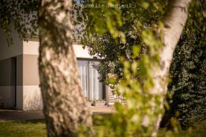Maisons de vacances Maison a 800m de la plage : photos des chambres