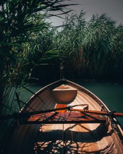 Fűzliget Surf Garden