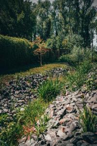 Fűzliget Surf Garden