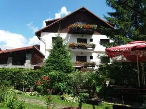 Pensiunea Liziera - 泽尔内什蒂