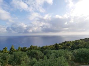 Horizon Blue