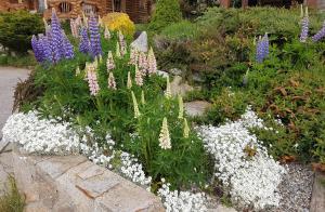 Chalet Rouge Sorbier