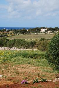 Villa Volare