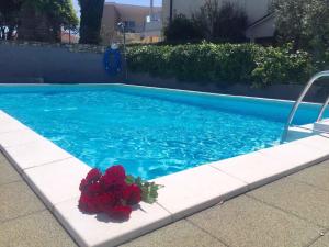 Apartment Mirella 