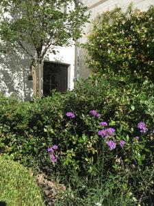 The Herrings Residence - Stylish Private Cottage with Breakfast in Historic Center - Adults-Only