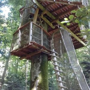 B&B / Chambres d'hotes Les cabanes de Kermenguy : photos des chambres