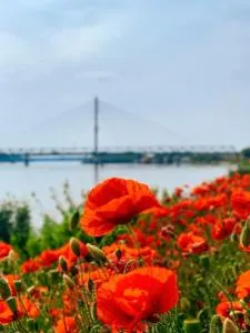 Amira Apartman - Vaspuszta