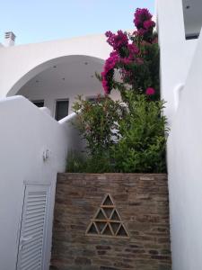 Ionia Studios Andros Greece