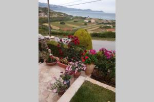 villa roses-mourteri Evia Greece