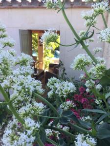 Appartements LES SANTOLINES - Studio a la campagne : photos des chambres