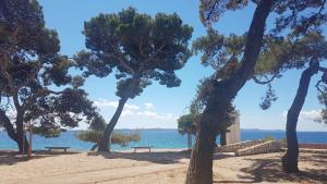 Apartment ARIA Exclusive Petrcane 