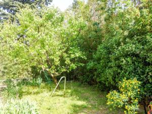 Maisons de vacances Holiday Home La Cigale by Interhome : photos des chambres