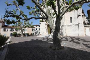 Appartements Les Platanes : photos des chambres