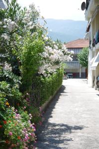 Villa Dimitris-Family Pansion Olympos Greece