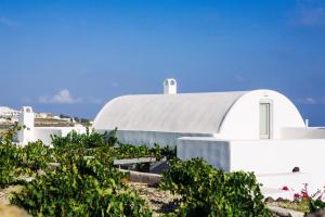 Vineyard Cycladic House Santorini Greece