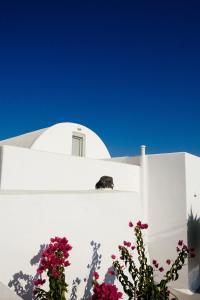 Vineyard Cycladic House Santorini Greece