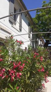 Hotels Hotel Villa Glanum et Spa : photos des chambres
