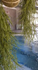 Hotels Hotel Villa Glanum et Spa : photos des chambres