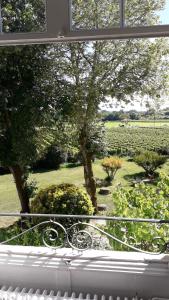 Maisons de vacances Chateau de Vertheuil : photos des chambres