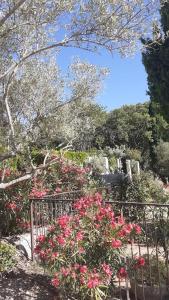 Hotels Hotel Villa Glanum et Spa : photos des chambres