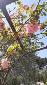 Hotels Hotel Villa Glanum et Spa : photos des chambres