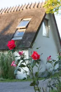 Fridfullt boende på lantgård med underbar utsikt - 赫尔湾