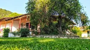 The paradise of Katerina - Agios Ioannis