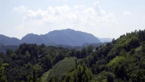 Robinzonski smještaj Green Peak 