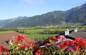 Appartement Perfeller