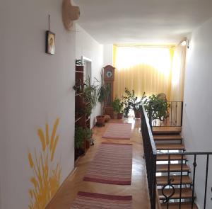 Casa Matilda